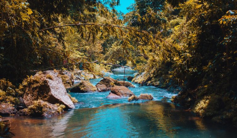 The Importance of Conserving the Environment